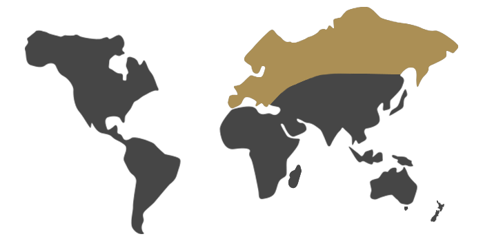 Europe